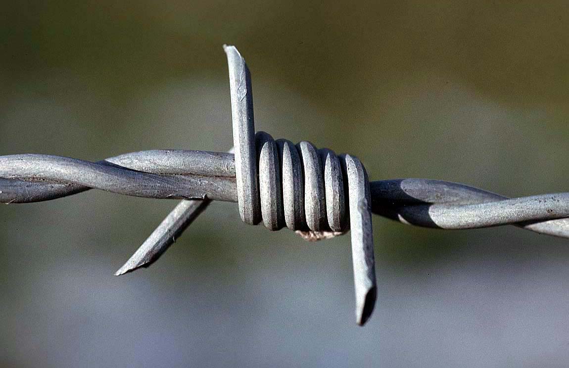 ޼