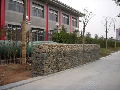 ʯõ纸